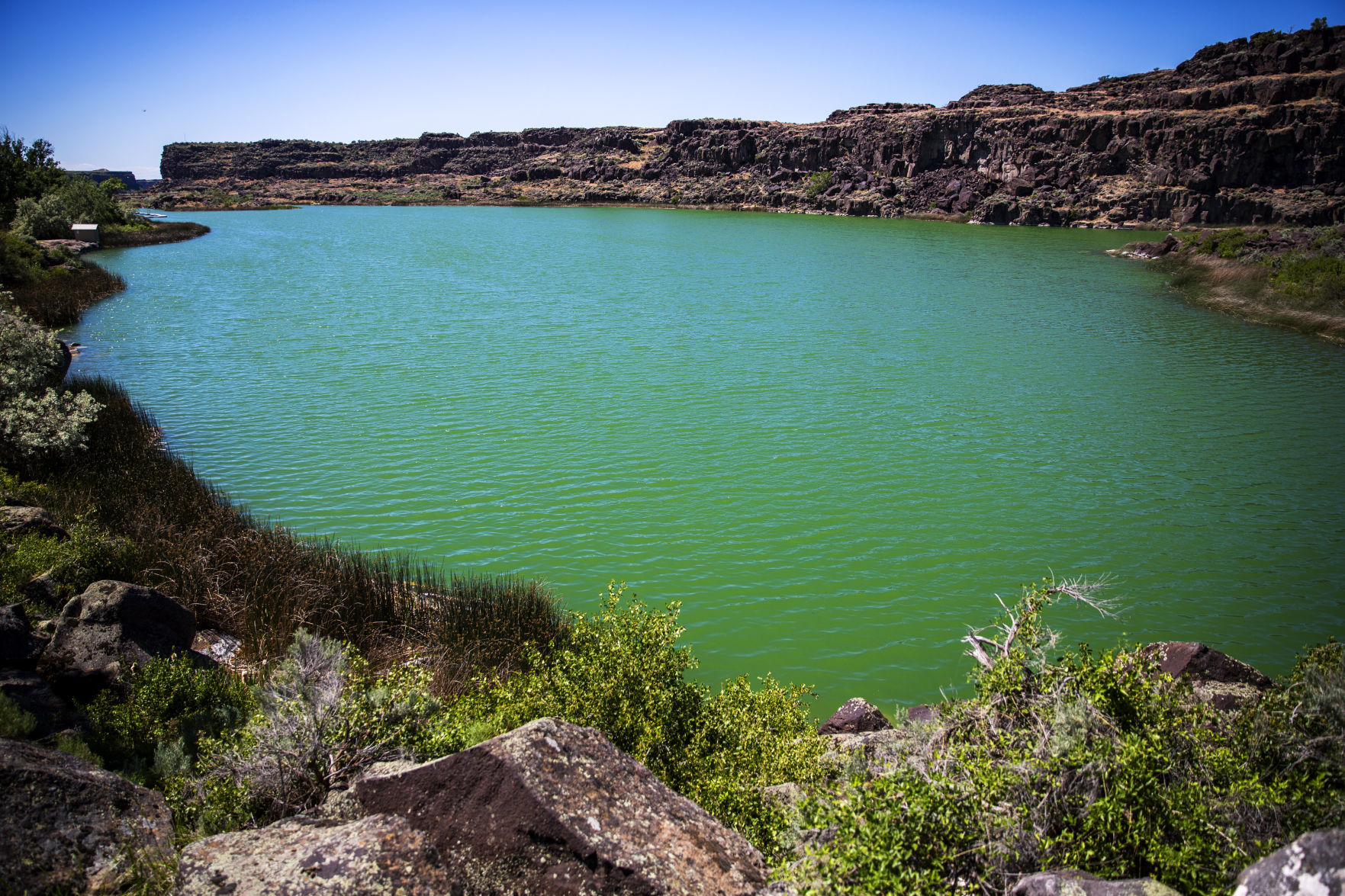 Dierkes goes green